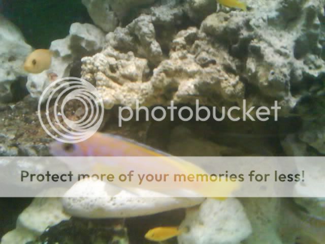DSC01415.jpg