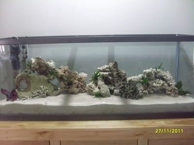 Decor1.jpg