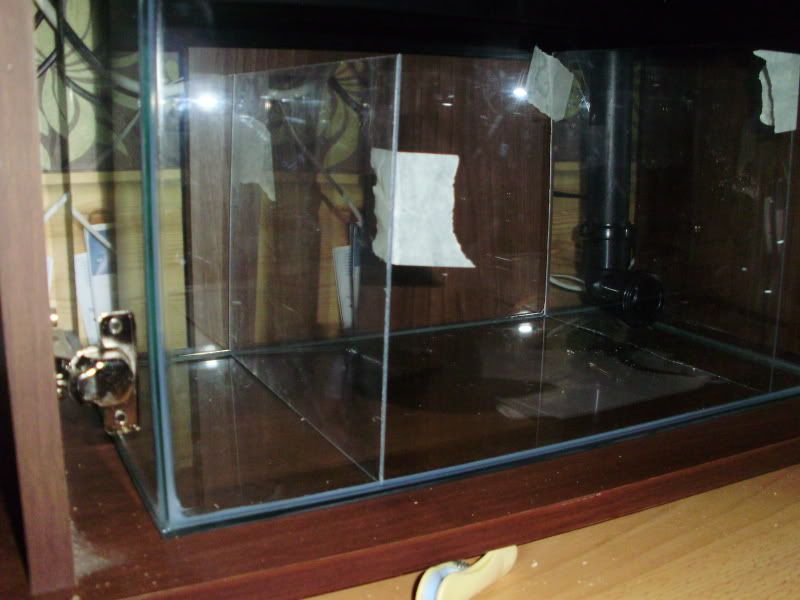 P9030025.jpg
