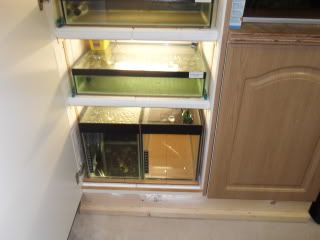 SDC11446.jpg