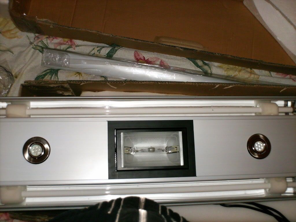 HPIM0298.jpg