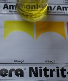 nitrite120110.jpg