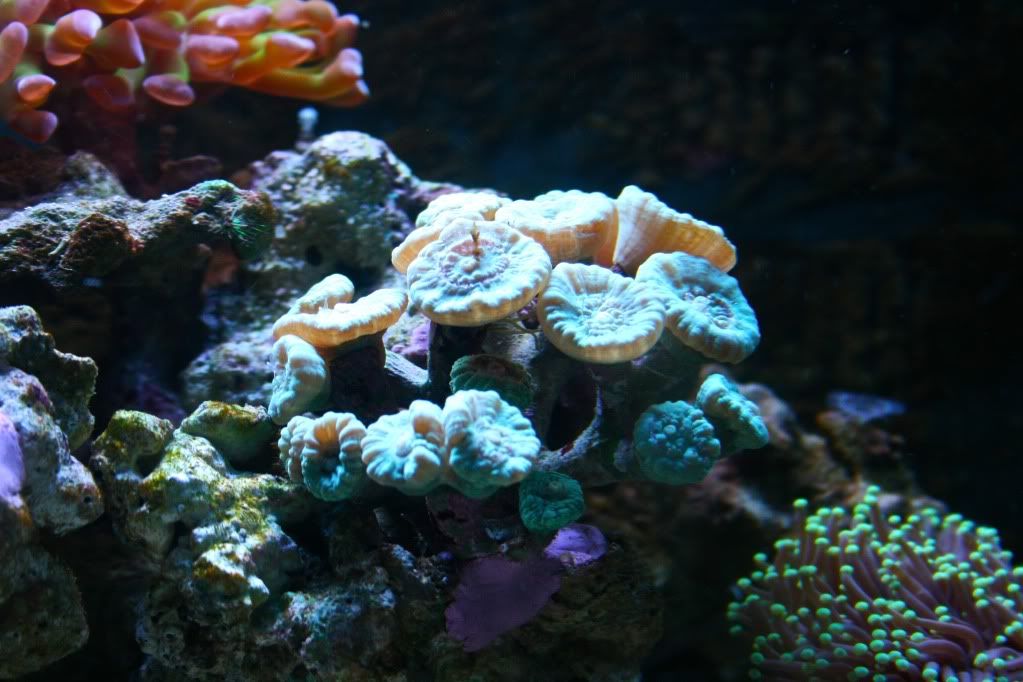 IMG_6416.jpg
