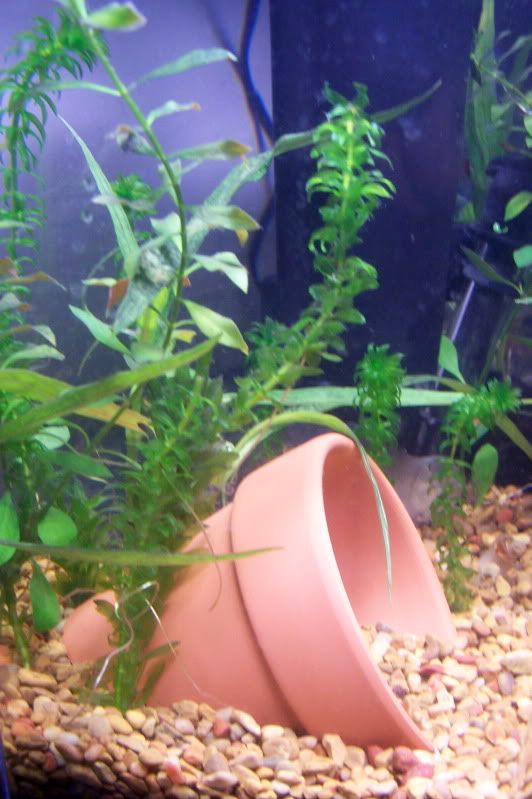 100_7620.jpg