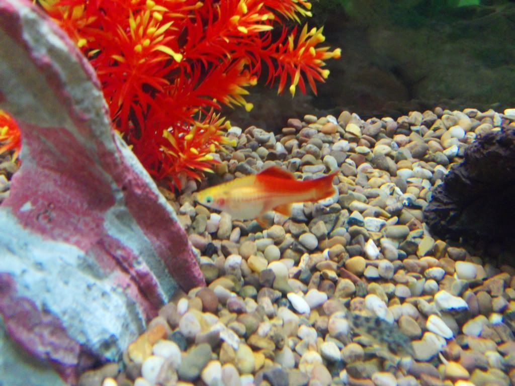 DSCF1272.jpg
