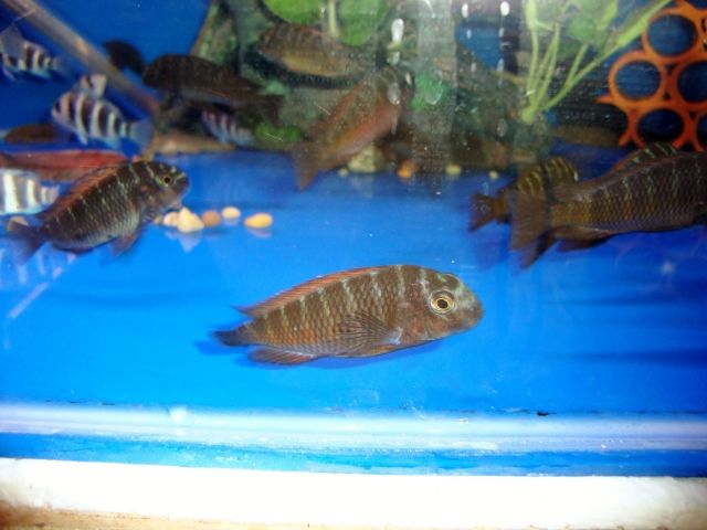 DSC01347.jpg