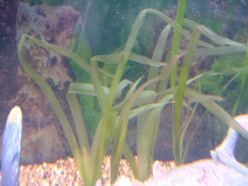 DSCF3832.jpg