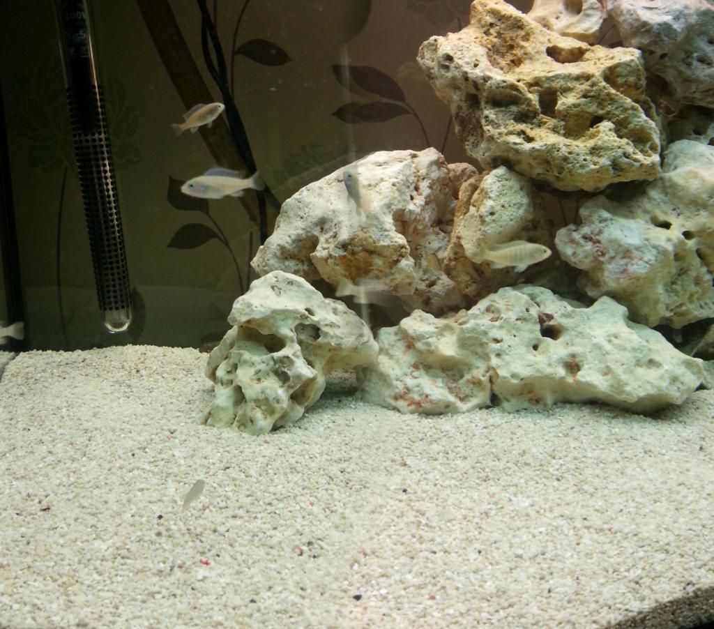 20130304_205514.jpg