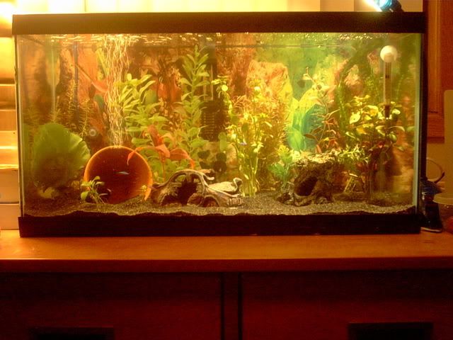15gallon014.jpg