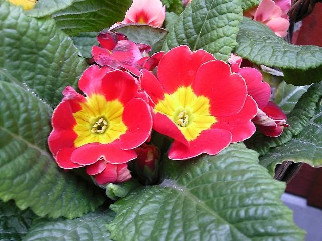 Photo1304.jpg