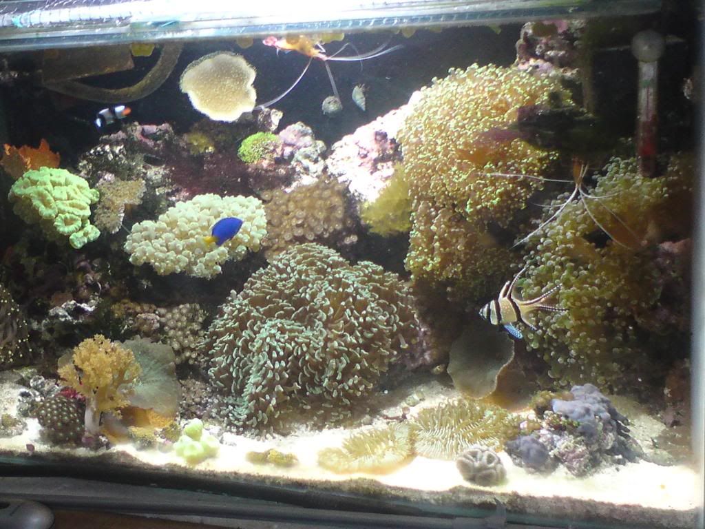 DSC00004-1.jpg