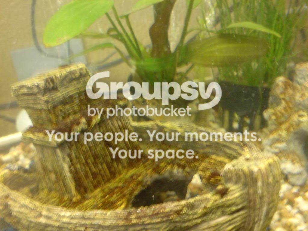 DSC00004.jpg