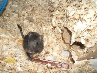 DSCF1378.jpg