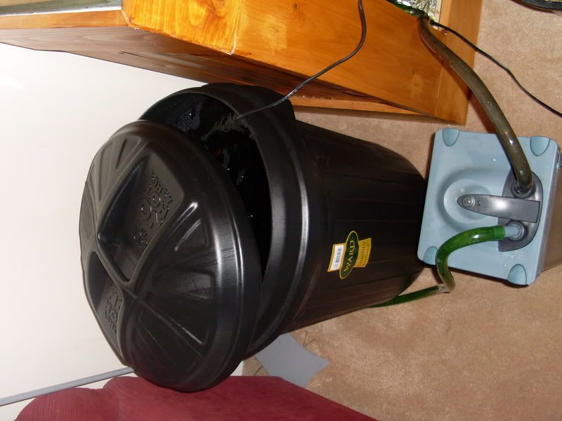 SL370096.jpg