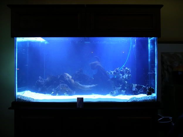 FishPics013.jpg