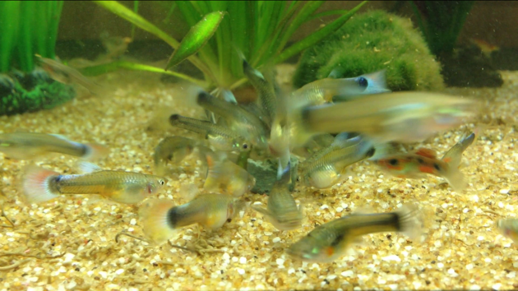 photo2_zps08197f9a.png