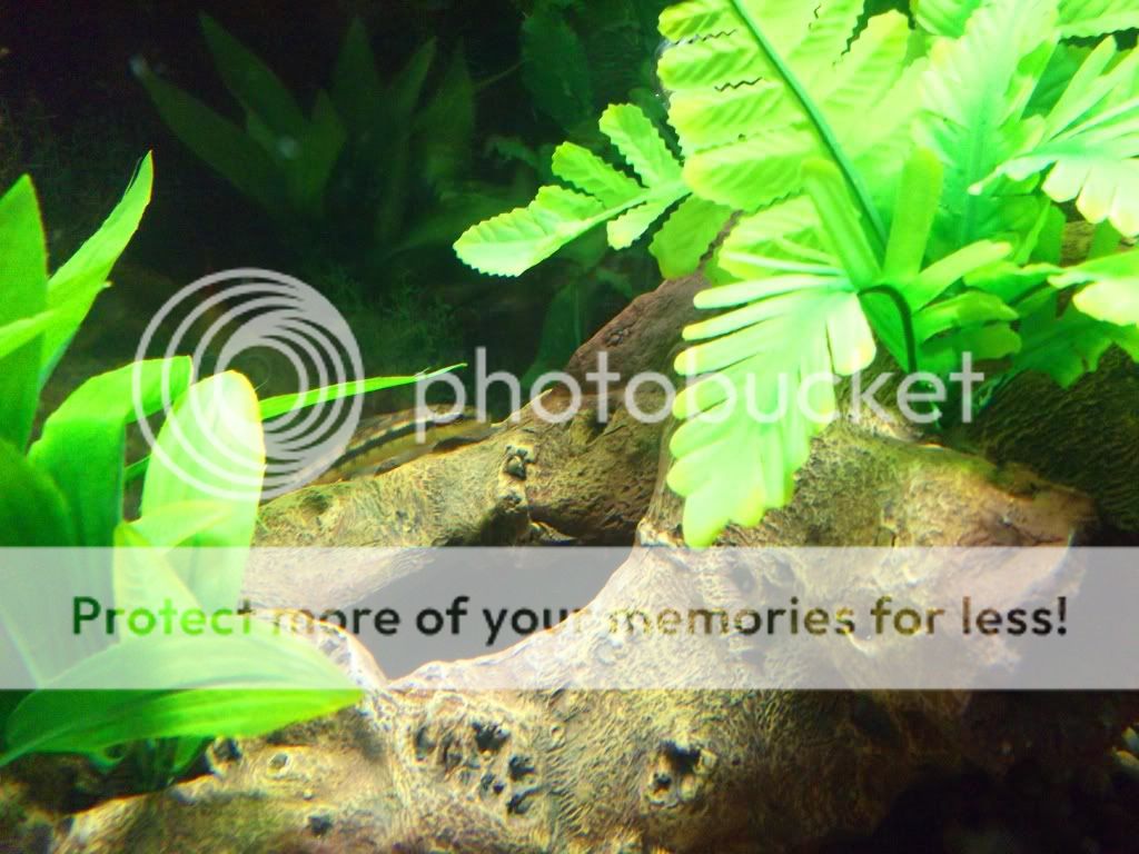 DSCF1279.jpg