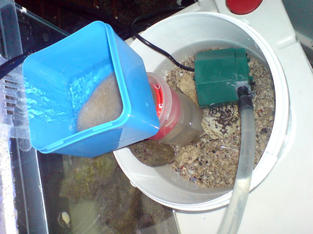 DSC00717.jpg