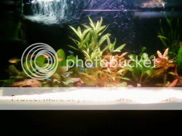 SP_A0074.jpg