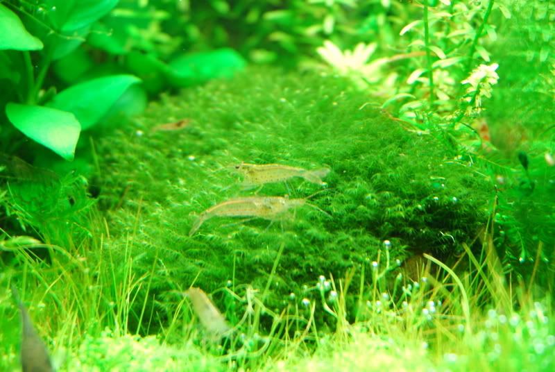 DSC_0067.jpg