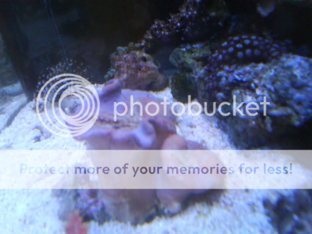 piccy-1.jpg