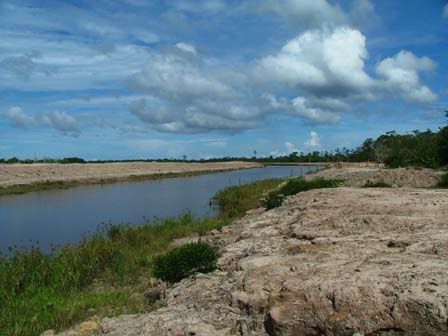 sg-tutong.jpg
