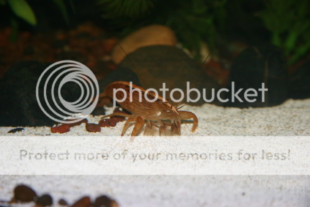 IMG_7647.jpg