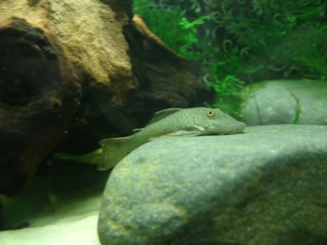 GEDC0911.jpg