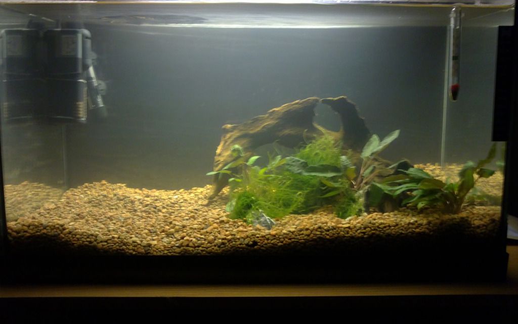 11022012239.jpg