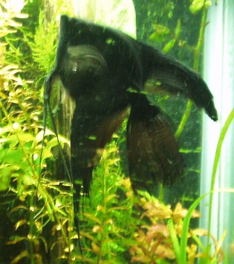 812341559_DUvgE-M.jpg