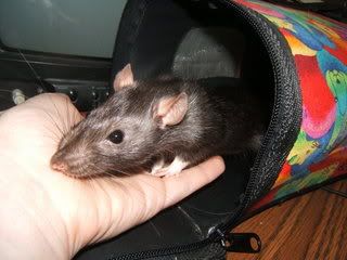 DSCF2495.jpg
