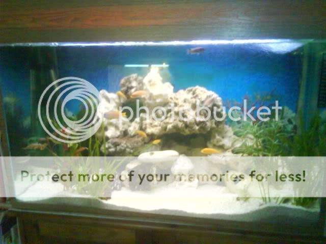 DSC01387.jpg