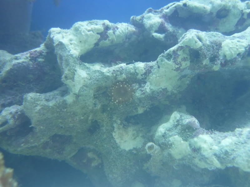 craigcamera026.jpg