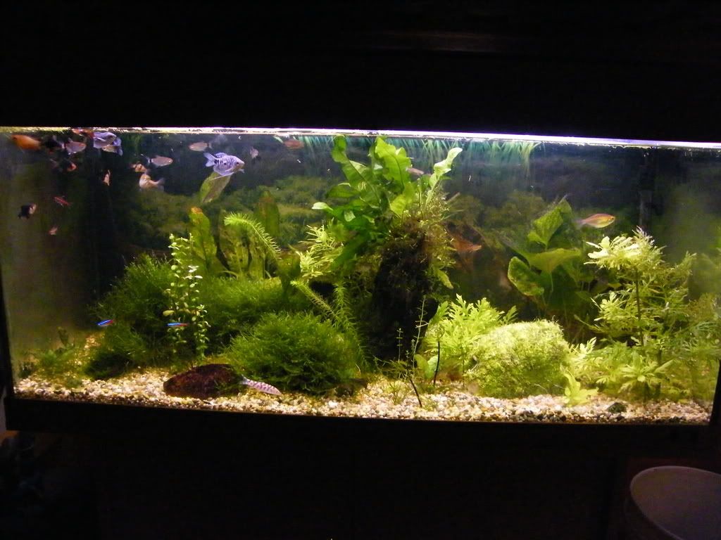 DSCF2162.jpg