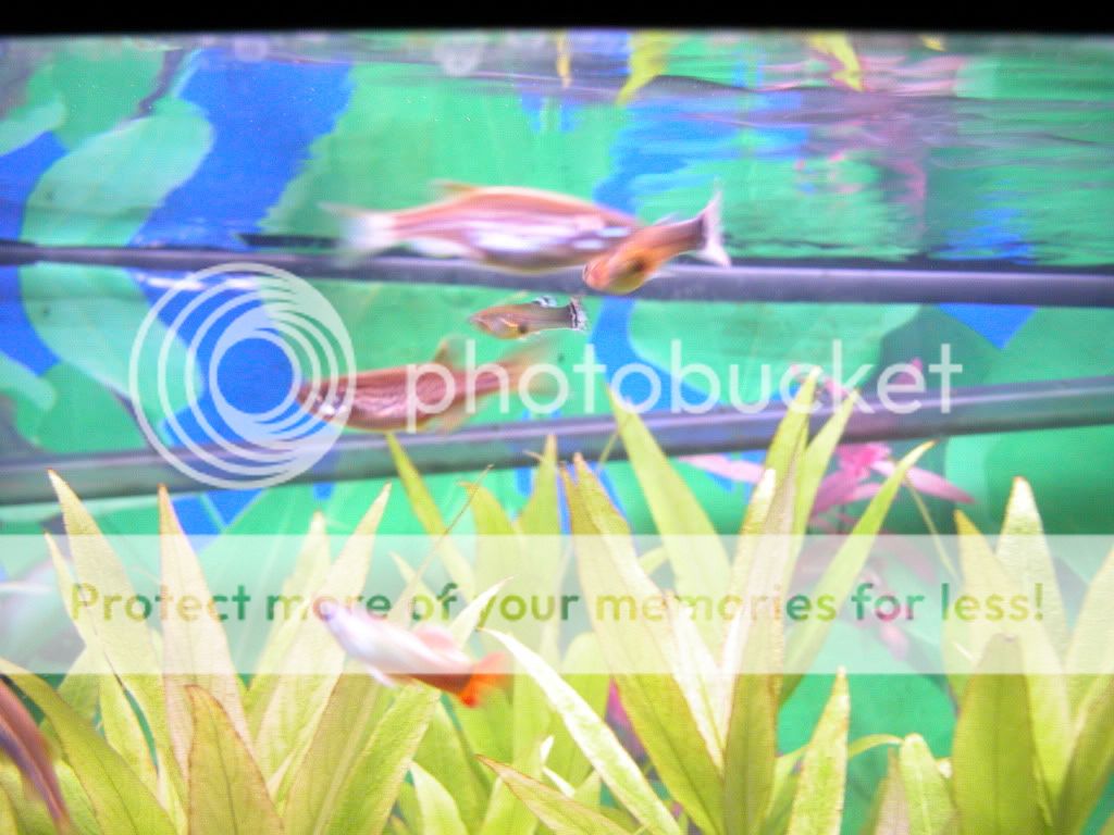 DSCN2923.jpg