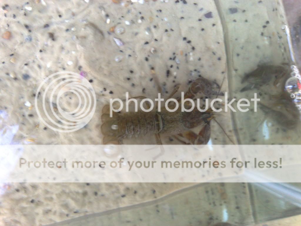 04072009977.jpg