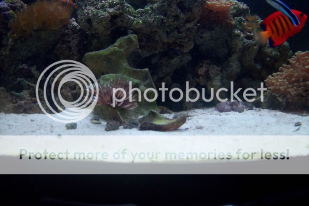 aquarium025.jpg