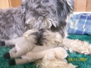 Picture2377.jpg