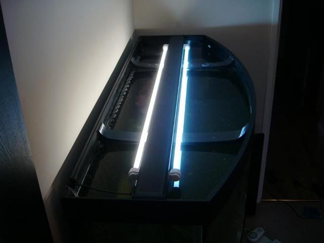 IMAG0003-1.jpg