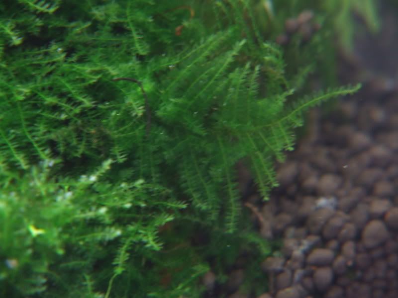 DSCF1682.jpg