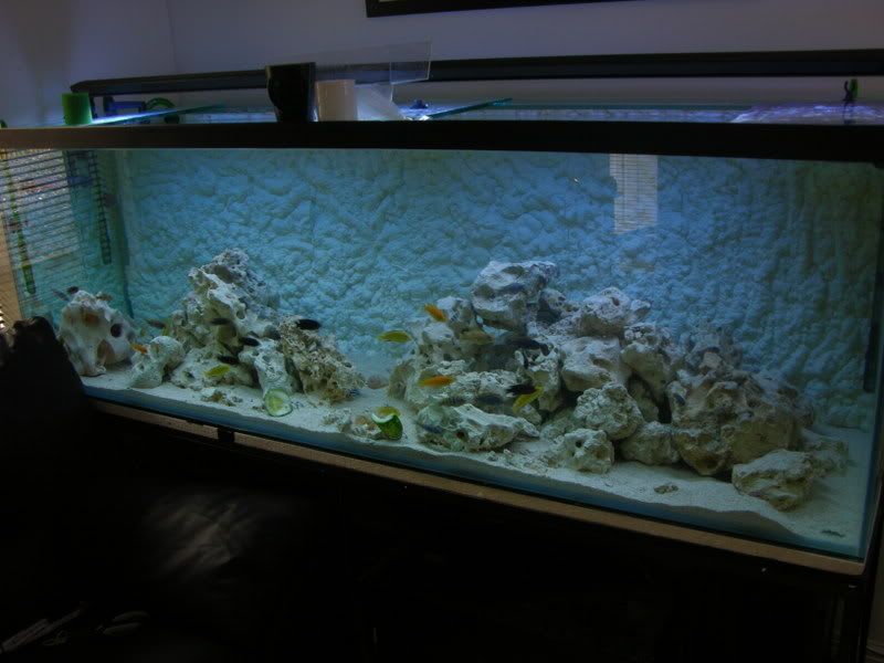 DSCN3049.jpg