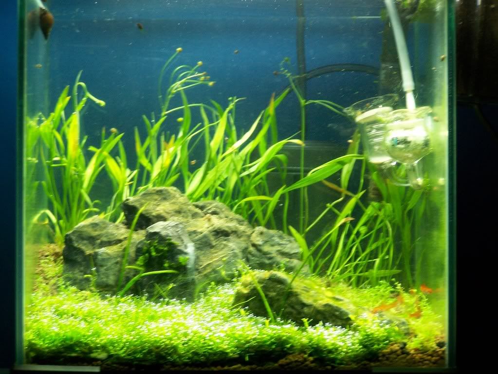 100_12031.jpg