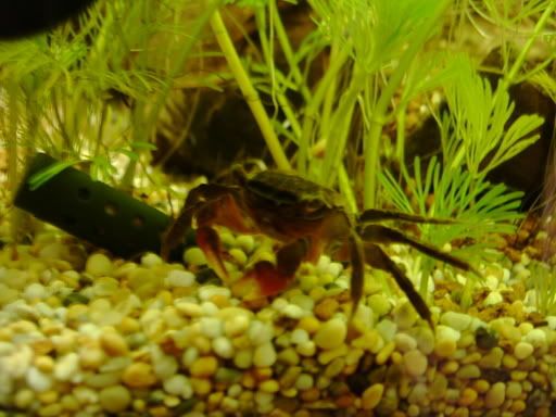 IMAG0117.jpg