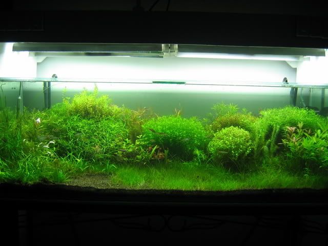 Picture052.jpg