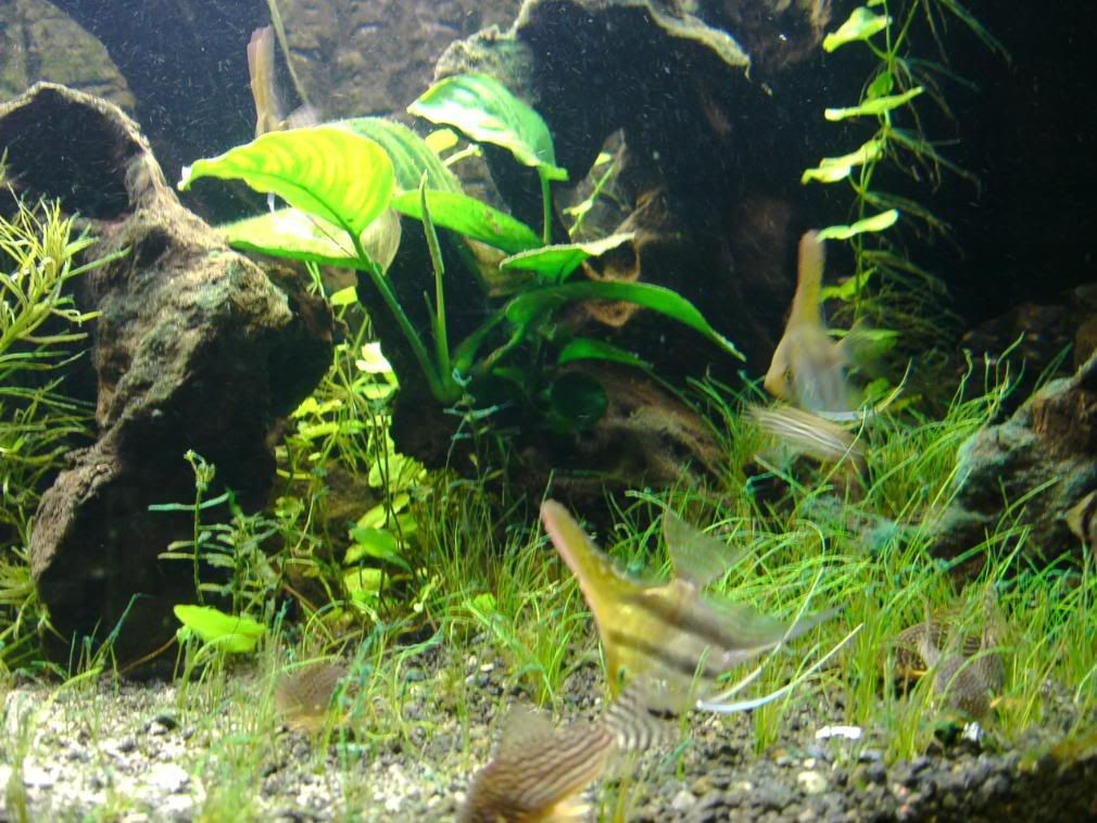 IMAG0036-2.jpg