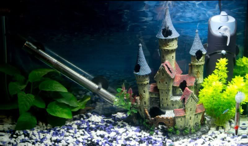 FishTank.jpg