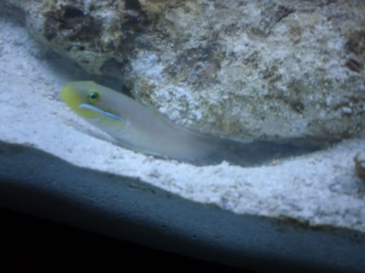 SDC10313.jpg