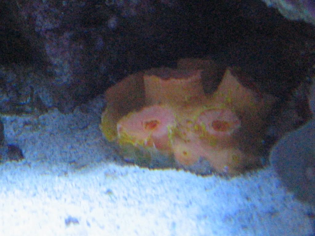 IMG_1930.jpg