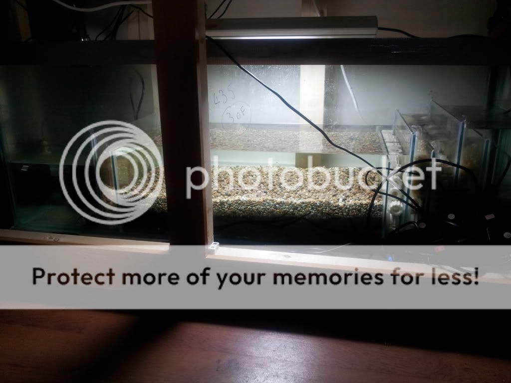 2011-12-14114856.jpg