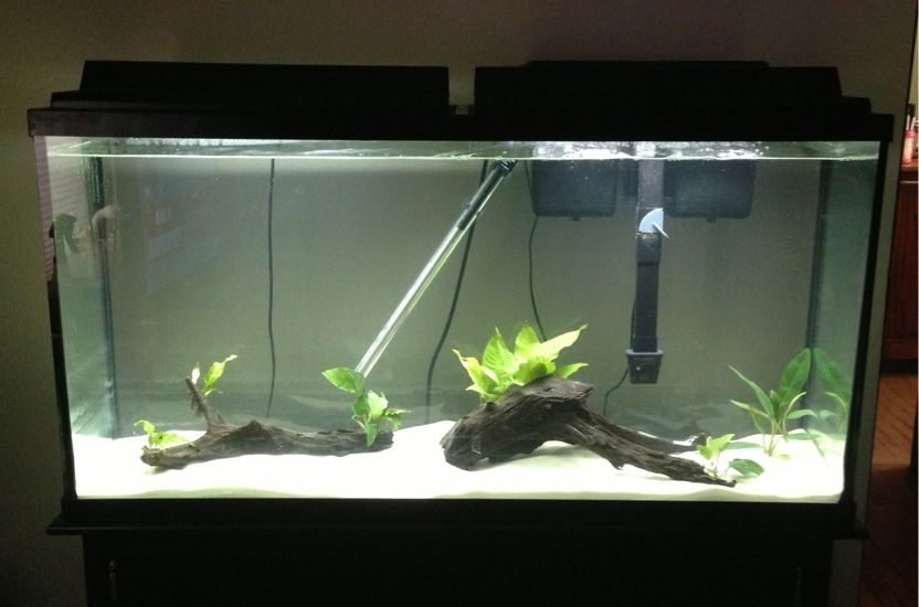 fishtank.jpg